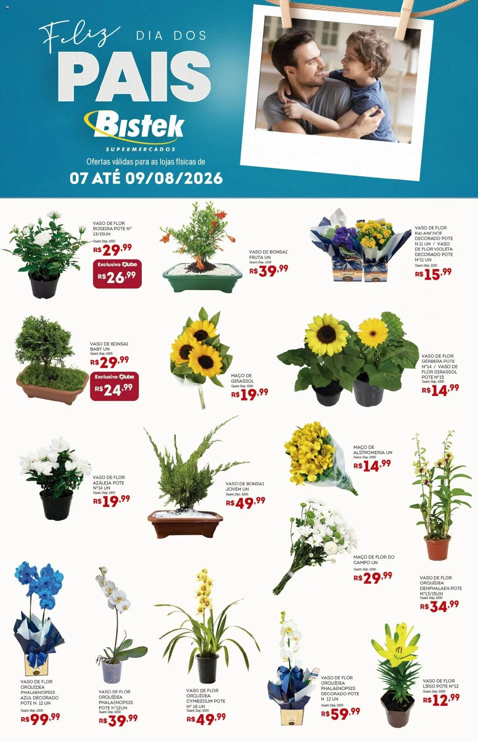 Bistek Supermercados Folheto - válido de 07/08/2026 | Página: 1 | Produtos: Denphalaen, Orquídea, Vaso, Gerbera