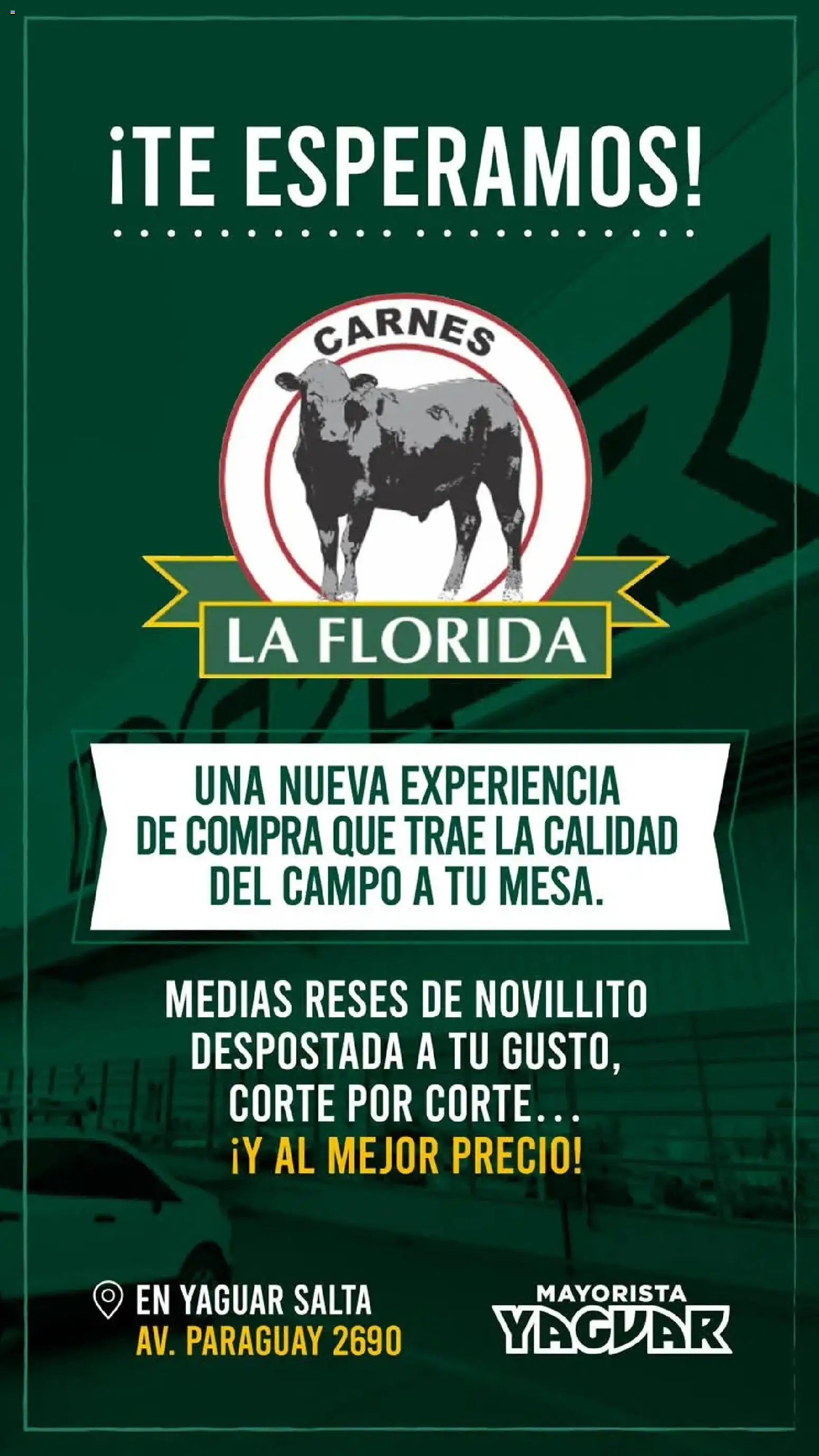 Yaguar - Oferta Semanal Salta │ válido desde el 04.05.2026 | Página: 3