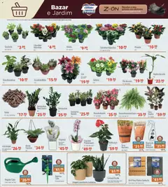 Supermercados Condor - Ofertas da semana - Pré-Visualização do folheto da loja Supermercados Condor, válido de 29/06/2026 | Página: 21 | Produtos: Pimenta, Repelente