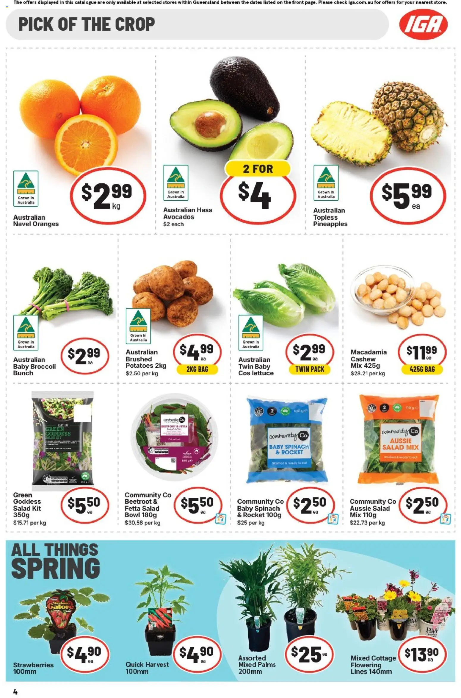 IGA catalogue - valid from 02/09/2026 | Page: 5 | Products: Cot, Lettuce, Rocket, Beetroot