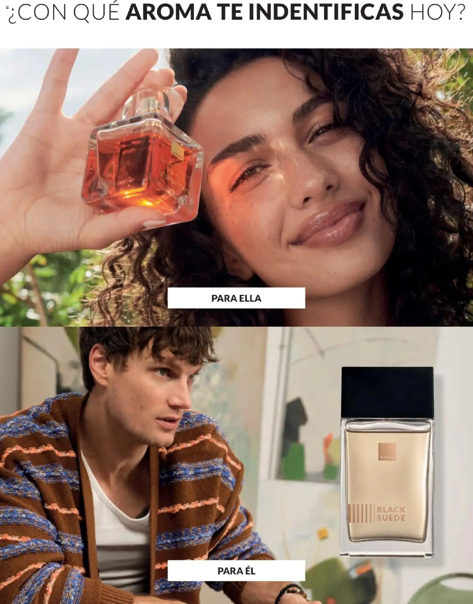 Catálogo Avon válido desde 01/07/2026 | Página: 55 | Productos: Té