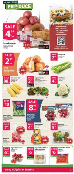 Preview of Fresh Express Caesar Salad Kit, Produce of U.S.A. or Mexico Selected Varieties 278 - 298 g from shop Co-op Food valid from 30.04.2026 | Page: 6