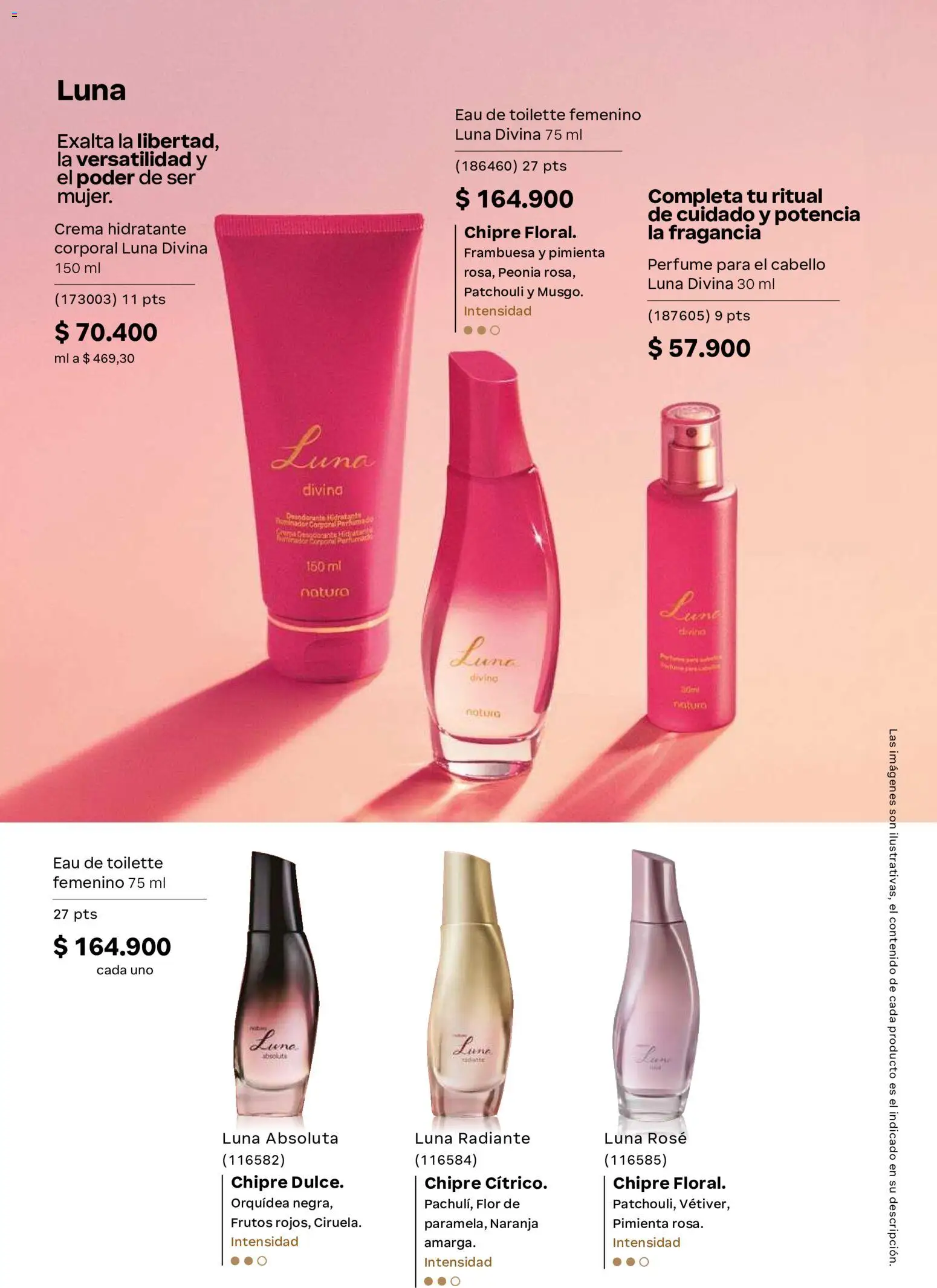 Natura revista - valida desde el 11.06.2026 | Página: 31 | Productos: Pimienta, Crema, Perfume, Fragancia