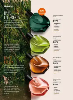 Vista previa de Natura campaña 11 2026, nuevo folleto de la tienda, válido en México a partir del 10/07/2026 | Página: 37