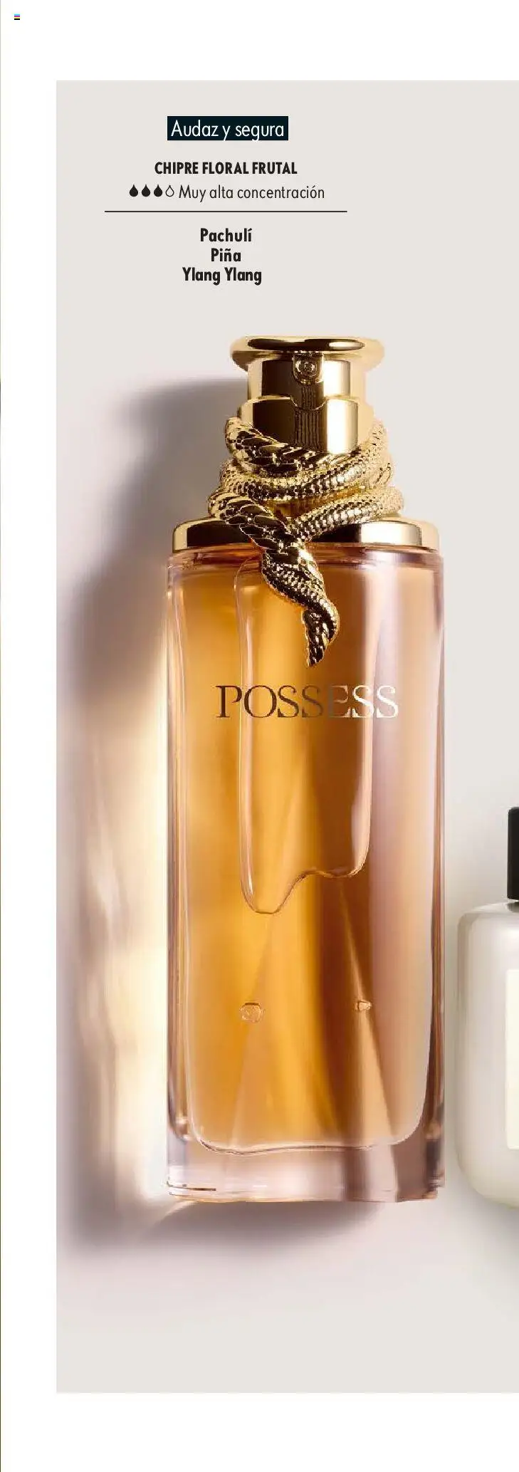 Nuevas ofertas de Oriflame válidas en toda la República Mexicana desde el 09.05.2026. ¡Encuentra las mejores ofertas en Oriflame campaña 7 2026! | Página: 160 | Productos: Piña