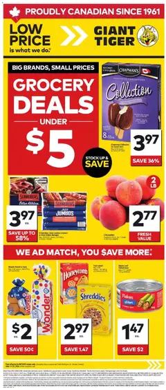 Preview of Giant Tiger Weekly Flyer from shop Giant Tiger valid from 17.06.2026