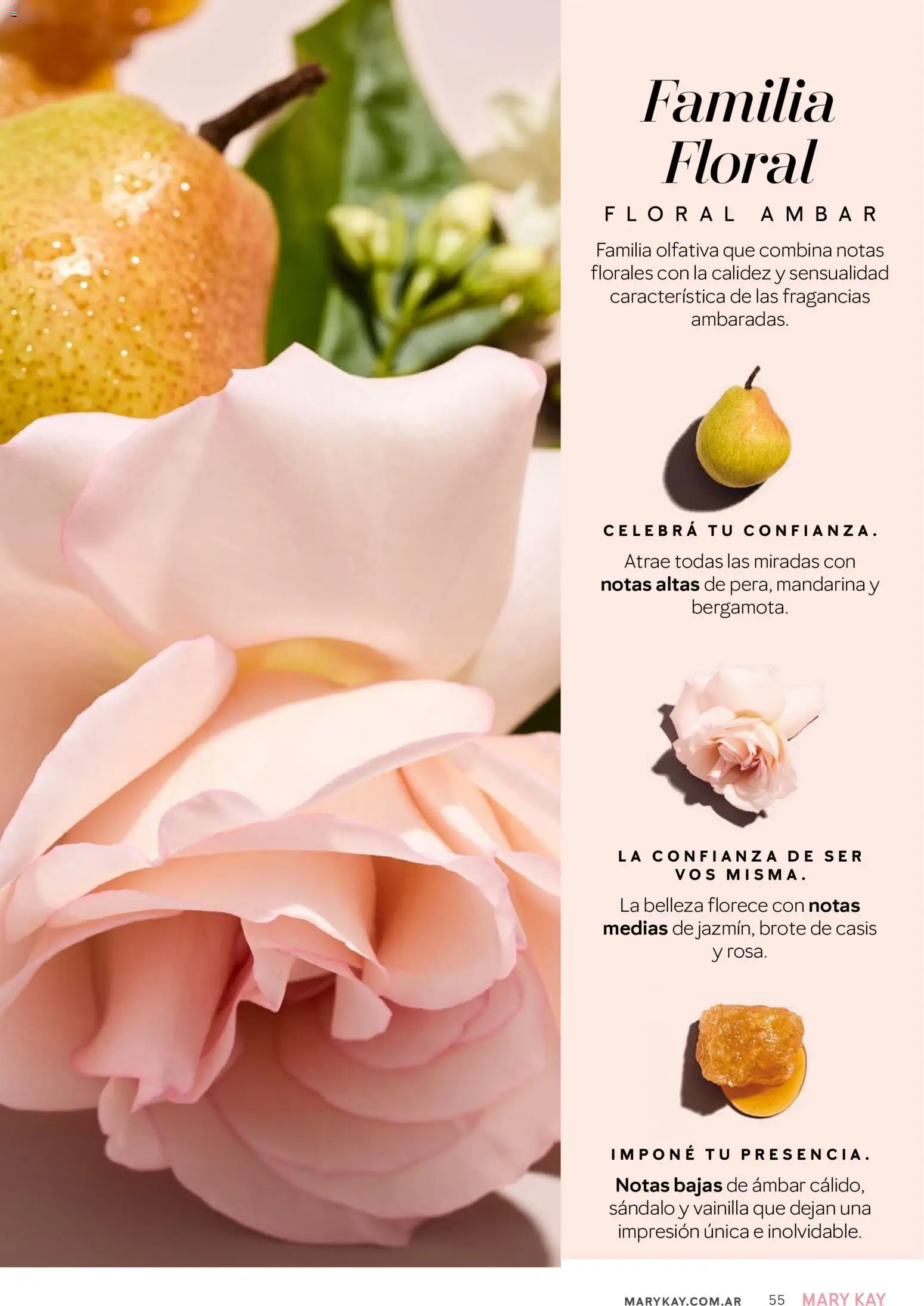 Mary Kay catálogo │ válido desde el 01/08/2026 | Página: 55 | Productos: Medias