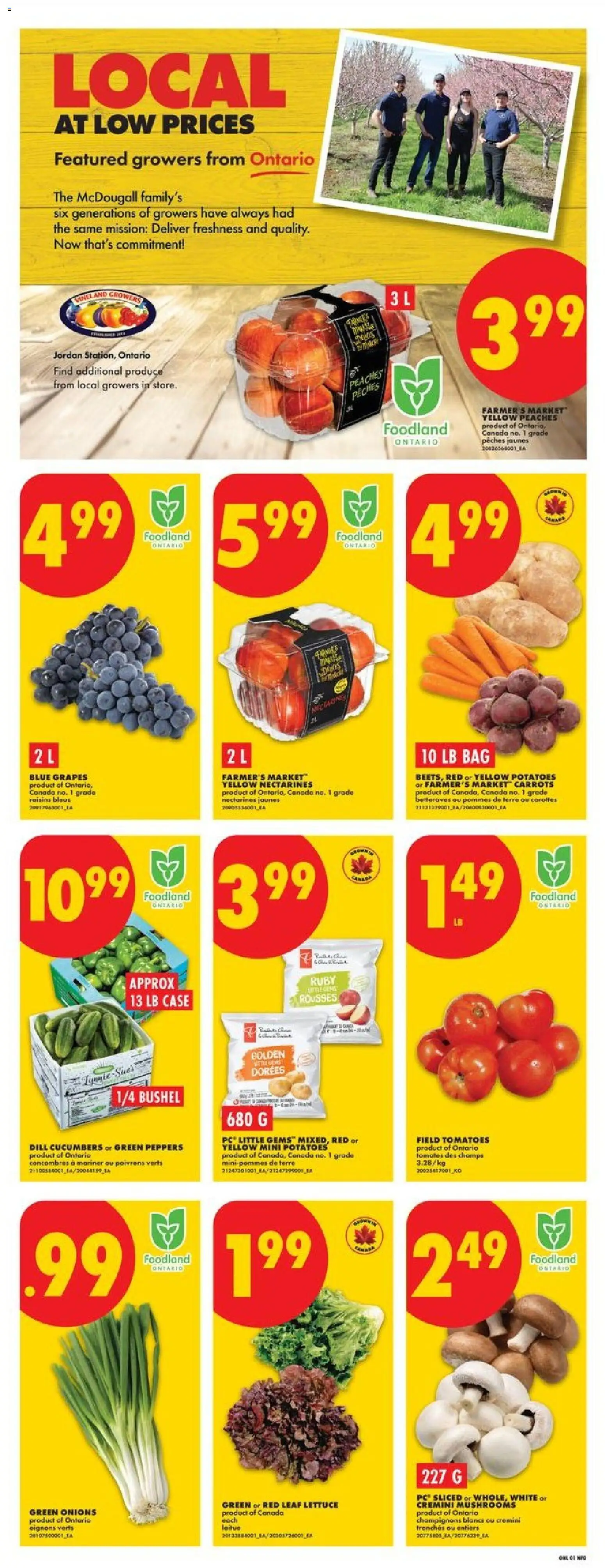 No Frills flyer valid from Aug 20, 2026 | Page: 3 | Products: Case, Bag, Mushrooms, Tomatoes