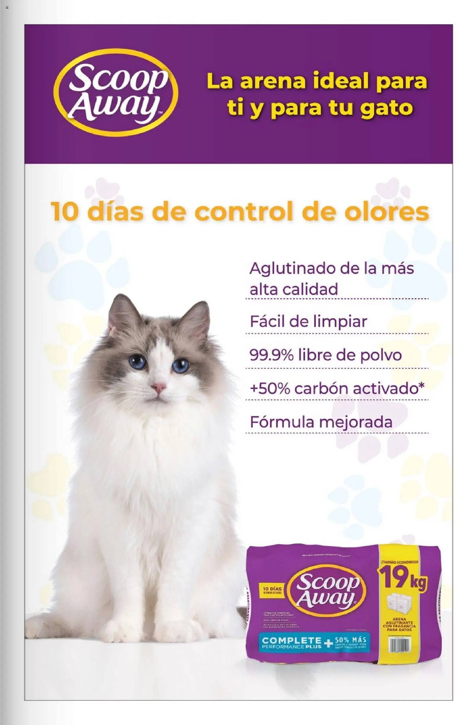 Nuevas ofertas de Costco válidas en toda la República Mexicana desde el 01.05.2026. ¡Encuentra las mejores ofertas en Costco Revista Mayo 2026! | Página: 137 | Productos: Fragancia, Polvo