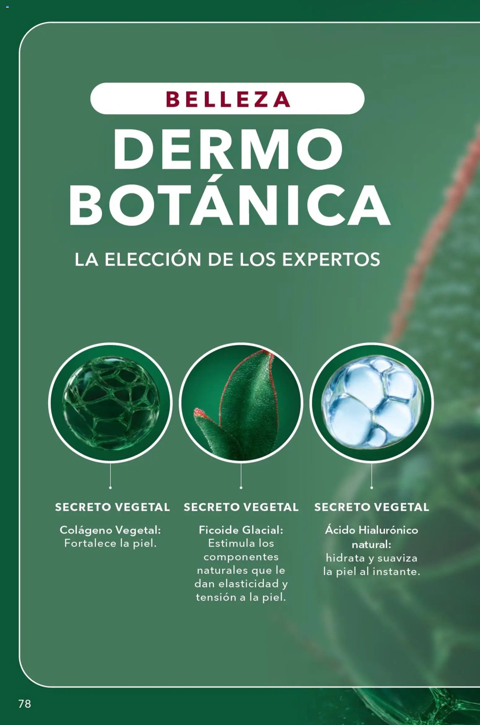 Nuevas ofertas de Yves Rocher válidas en toda la República Mexicana desde el 04/08/2026. ¡Encuentra las mejores ofertas en Yves Rocher campaña 11 2026! | Página: 82