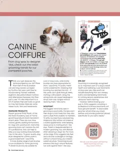 Preview of Bunnings Warehouse - Bunnings Magazine May/June 2026 - valid from 01.05.2026 | Page: 54 | Products: Brush, Conditioner, Curly, Dryer