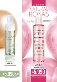 Vista previa Amodil - Campaña 10 válido desde el 01.06.2026 | Página: 77 | Productos: Fragancia