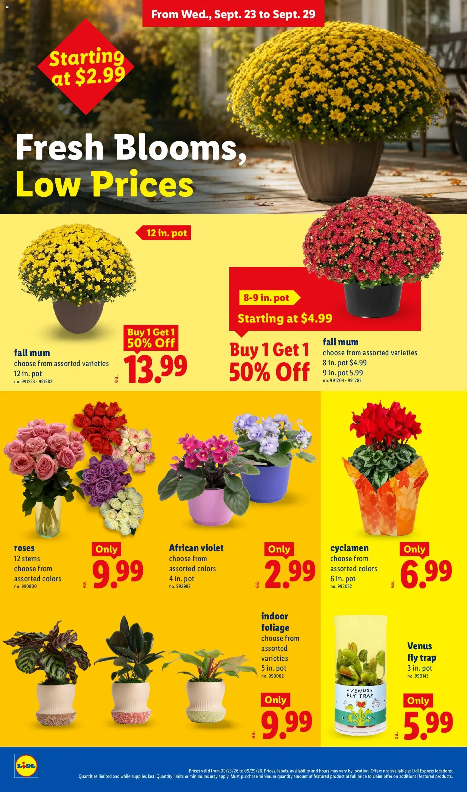 Lidl Weekly Ad - valid from 09/23/2026 | Page: 22