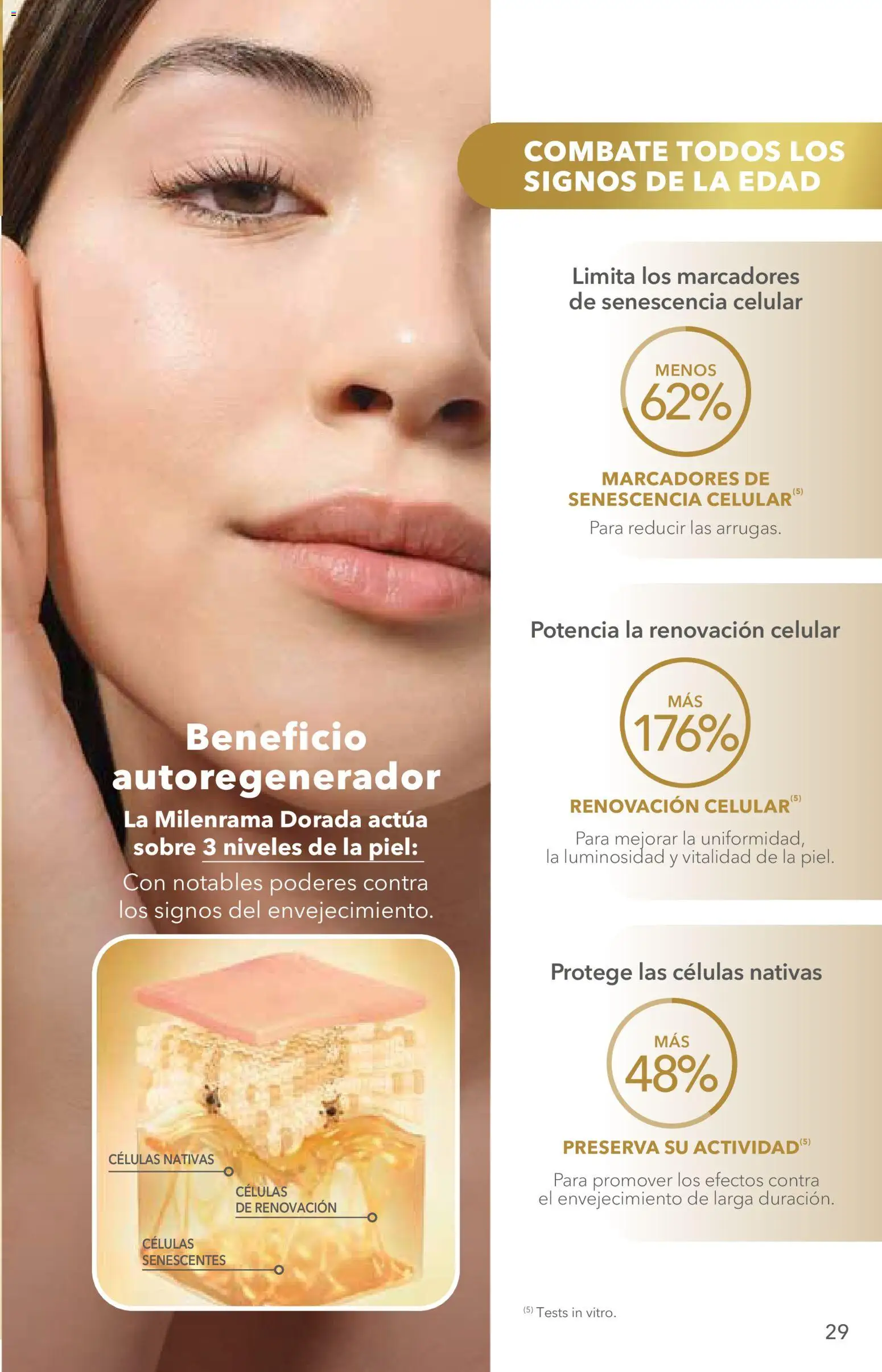 Nuevas ofertas de Yves Rocher válidas en toda la República Mexicana desde el 02.06.2026. ¡Encuentra las mejores ofertas en Yves Rocher campaña 8 2026! | Página: 29