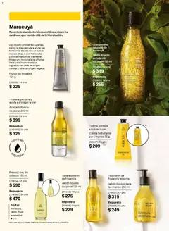 Vista previa de Natura campaña 12 2026, nuevo folleto de la tienda, válido en México a partir del 31/07/2026 | Página: 113