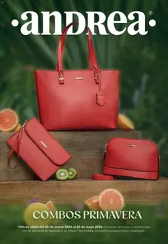 Vista previa de Andrea catálogo Combos Primavera, nuevo folleto de la tienda, válido en México a partir del 08.03.2026