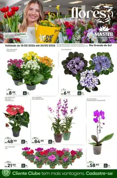 Master ofertas Flores - Pré-Visualização do folheto da loja Master, válido de 15.05.2026