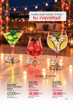 Vista previa Catálogo Amodil Campaña 17 válido desde el 01/10/2026 | Página: 111 | Productos: Martini, Gin