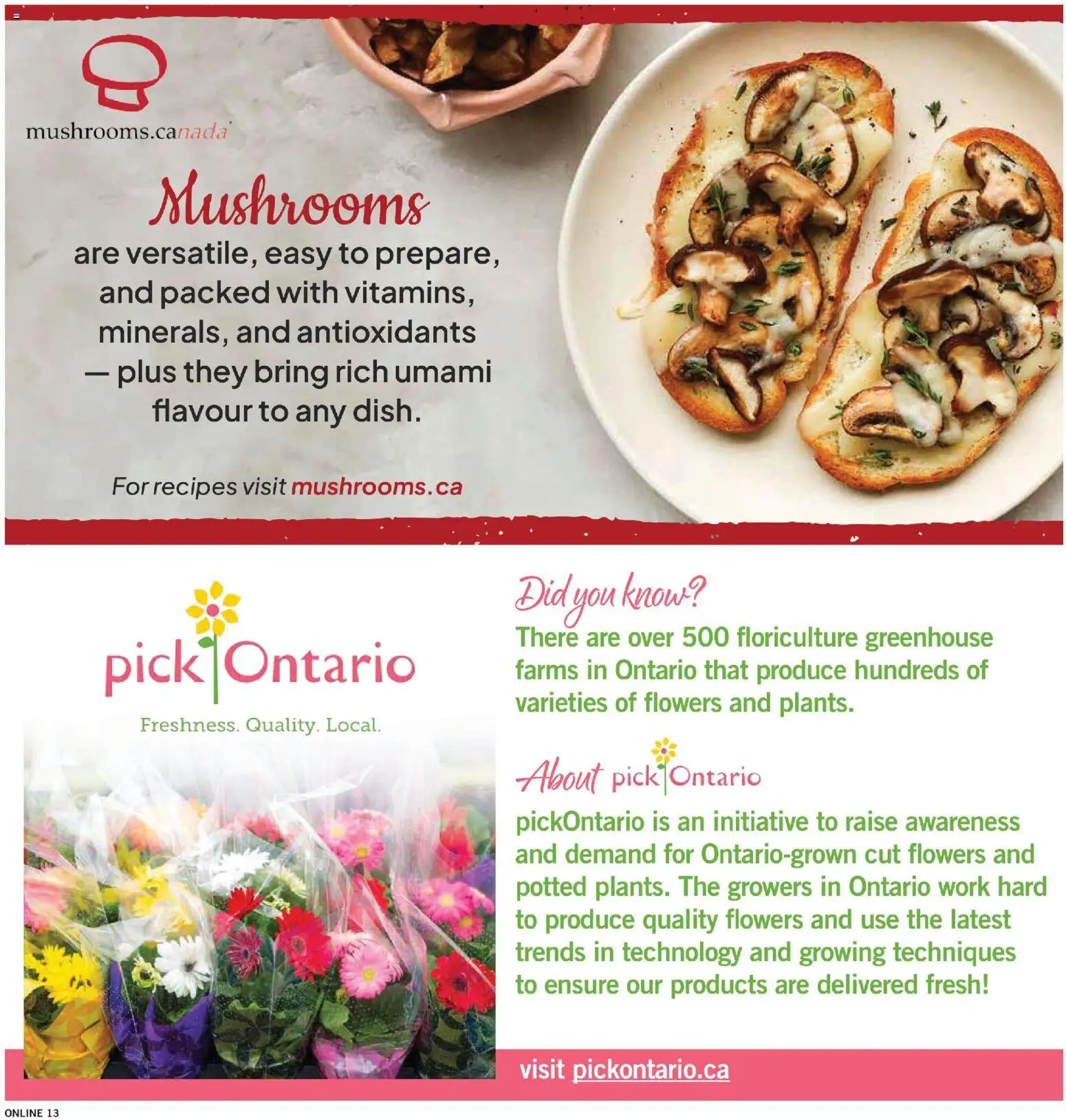 Fortinos flyer valid from Jul 30, 2026 | Page: 14