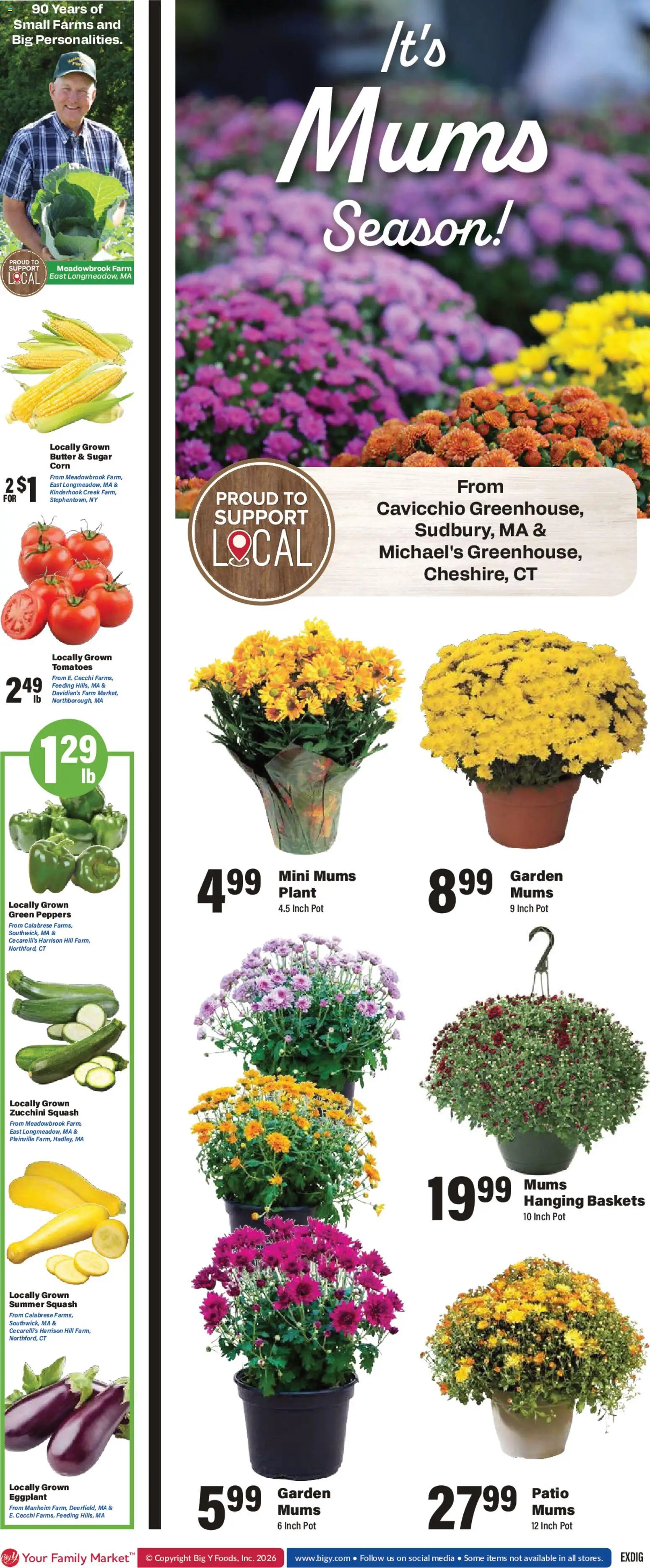 Big Y Weekly Ad - valid from 08/20/2026 | Page: 2 | Products: Peppers, Squash, Zucchini, Eggplant