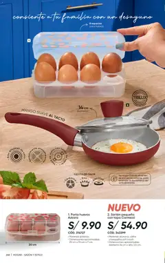 Vista previa de folleto Azzorti catálogo - Campaña 13 de la Azzorti válido desde 14/08/2026 | Página: 250 | Productos: Huevos