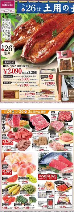 2026/07/24から有効なオファーを含む 成城石井 - 土用の丑の日