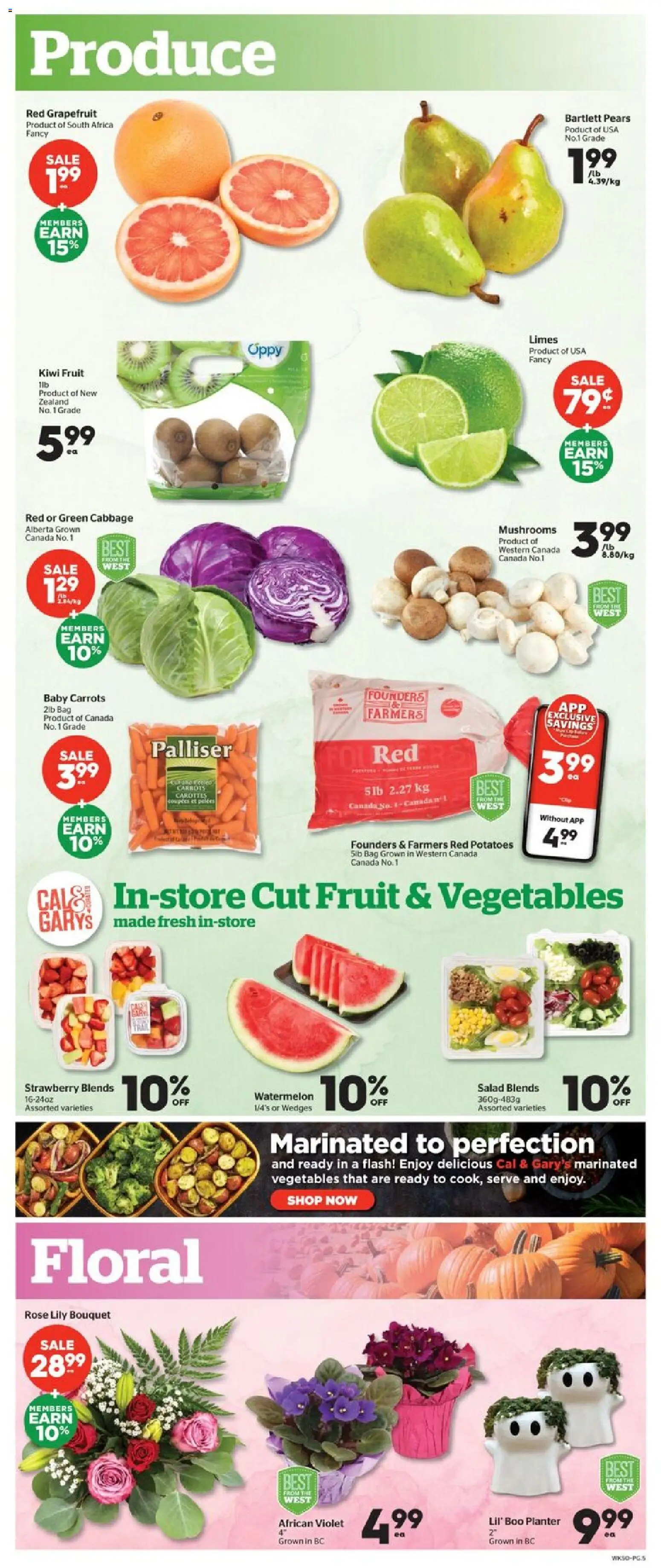Calgary Co-op flyer valid from Oct 15, 2026 | Page: 5