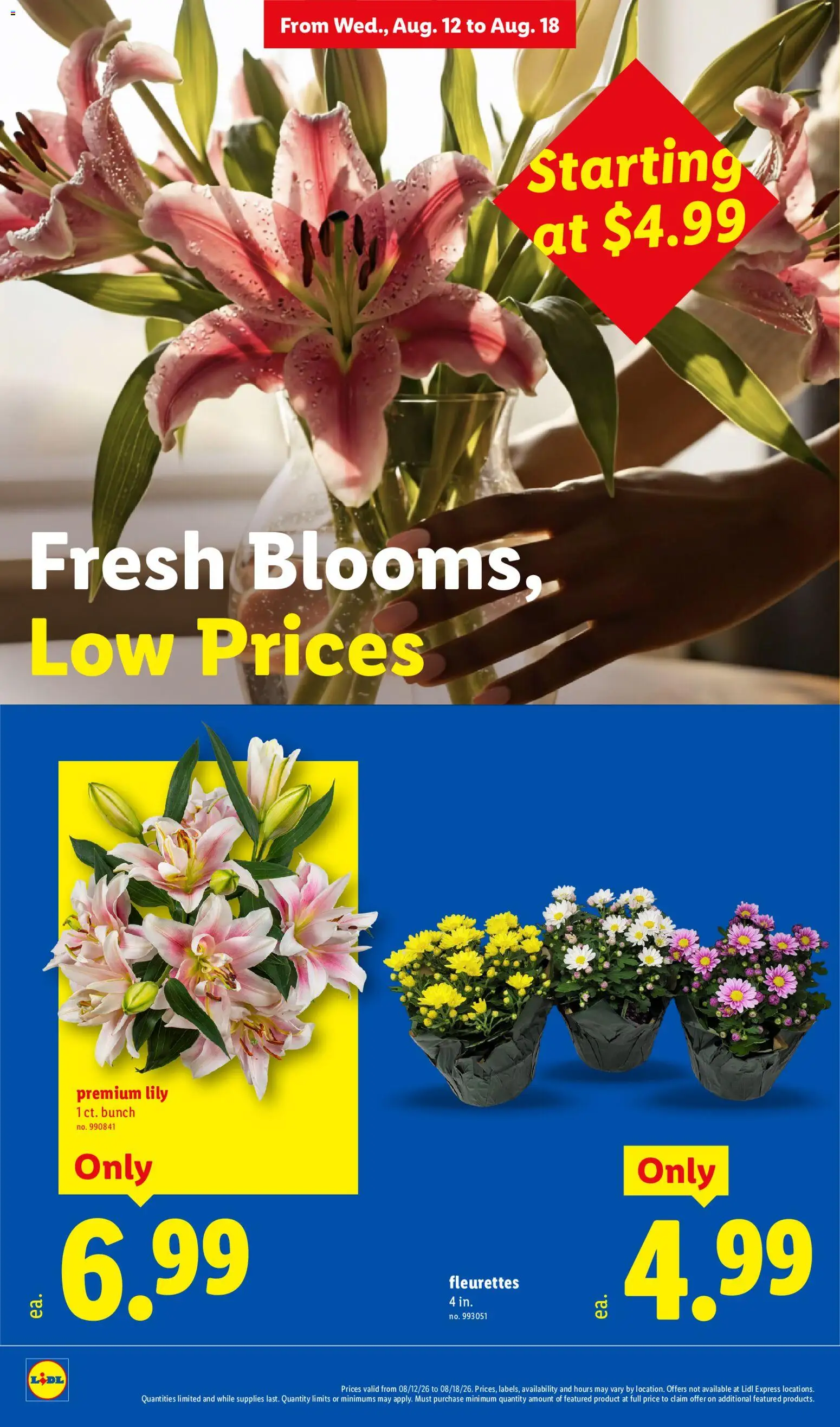 Lidl Weekly Ad - valid from 08/12/2026 | Page: 24