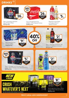 Preview of Foodworks catalogue  - valid from 20.05.2026 | Page: 13