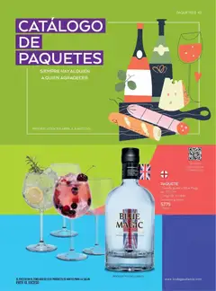 Vista previa de Bodegas Alianza catálogo, nuevo folleto de la tienda, válido en México a partir del 01.04.2026 | Página: 45 | Productos: Ginebra, Juego, Botella