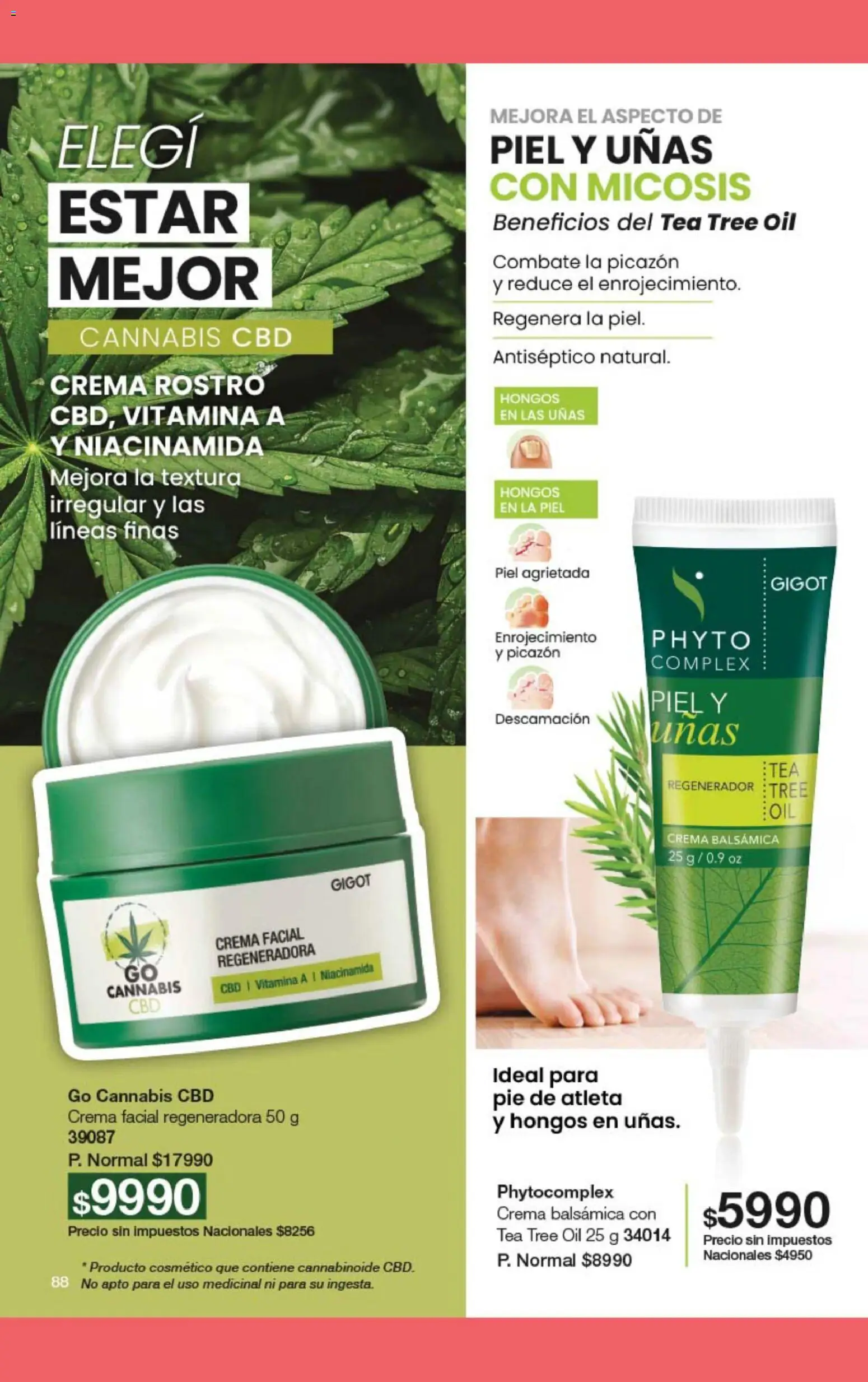 Gigot - CAMPAÑA 06 │ válido desde el 15.03.2026 | Página: 52 | Productos: Hongos, Crema
