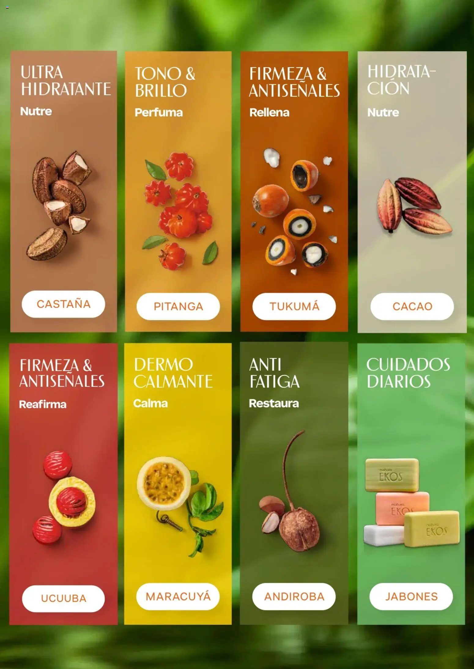 Natura revista - valida desde el 01.04.2026 | Página: 123 | Productos: Brillo, Maracuyá
