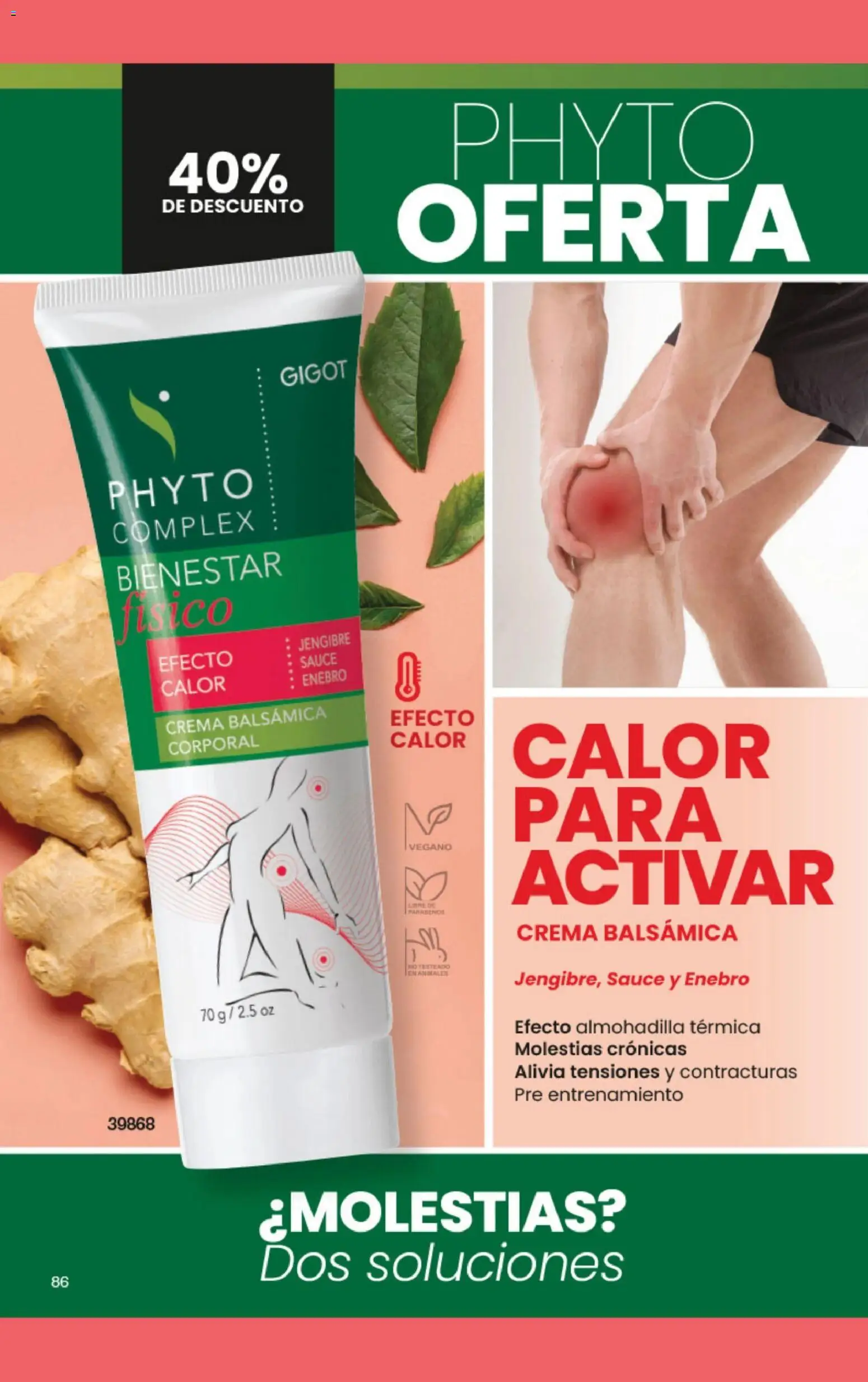 Gigot catálogo 02 │ válido desde el 01/02/2026 | Página: 90 | Productos: Térmica, Jengibre, Crema