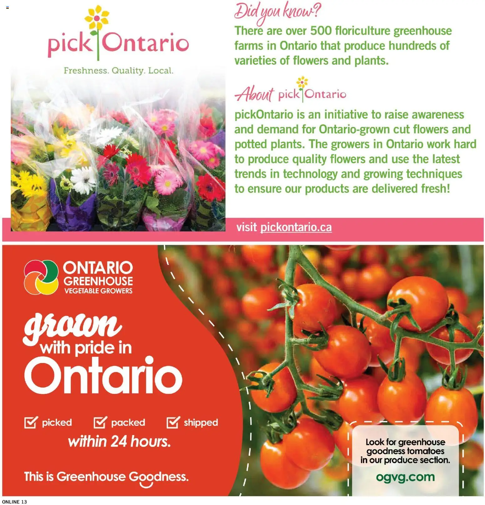 Fortinos flyer valid from Aug 20, 2026 | Page: 13