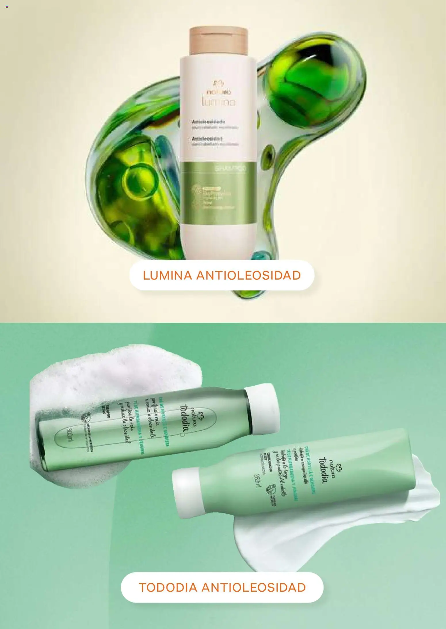 Natura revista - valida desde el 23/09/2026 | Página: 14 | Productos: Té, Jengibre, Shampoo