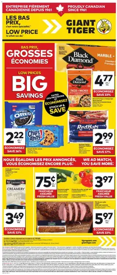 Preview of Giant Tiger Circulaire from shop Giant Tiger valid from Jul 15, 2026