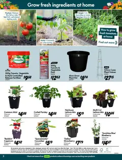 Preview of Bunnings catalogue - valid from 09/09/2026 | Page: 2 | Products: Plant pot, Tomatoes, Soil, Parsley