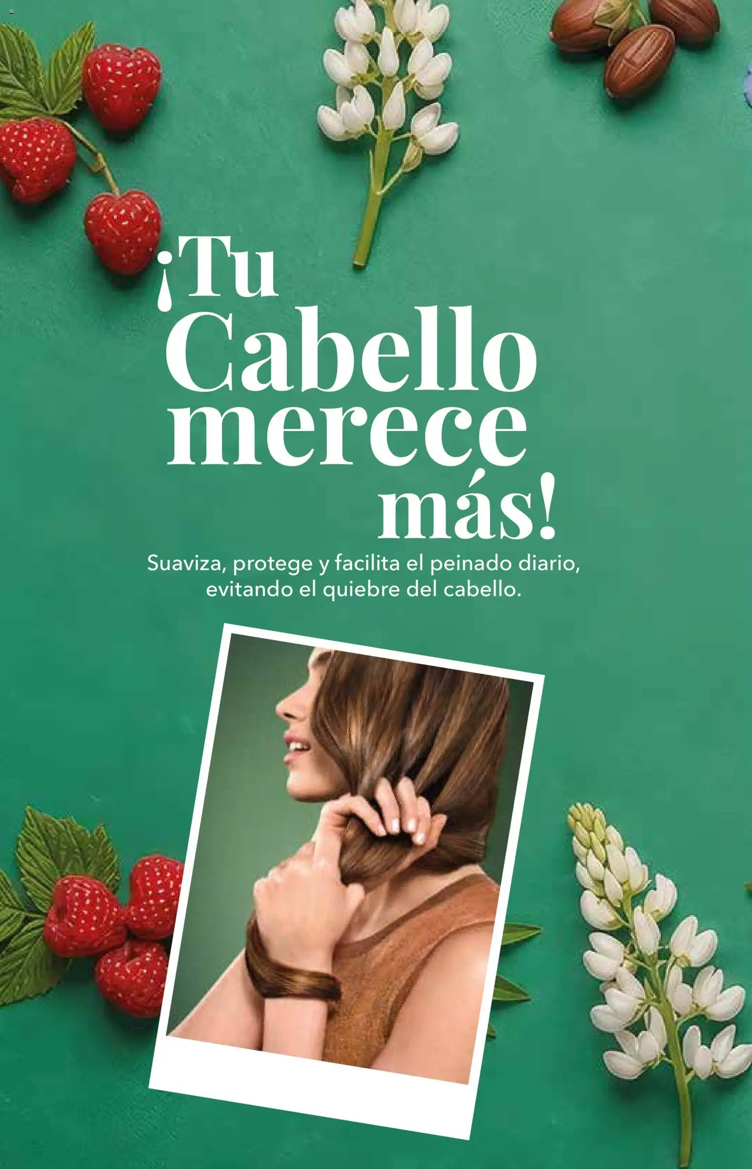 Nuevas ofertas de Yves Rocher válidas en toda la República Mexicana desde el 06/10/2026. ¡Encuentra las mejores ofertas en Yves Rocher campaña 14 2026! | Página: 50