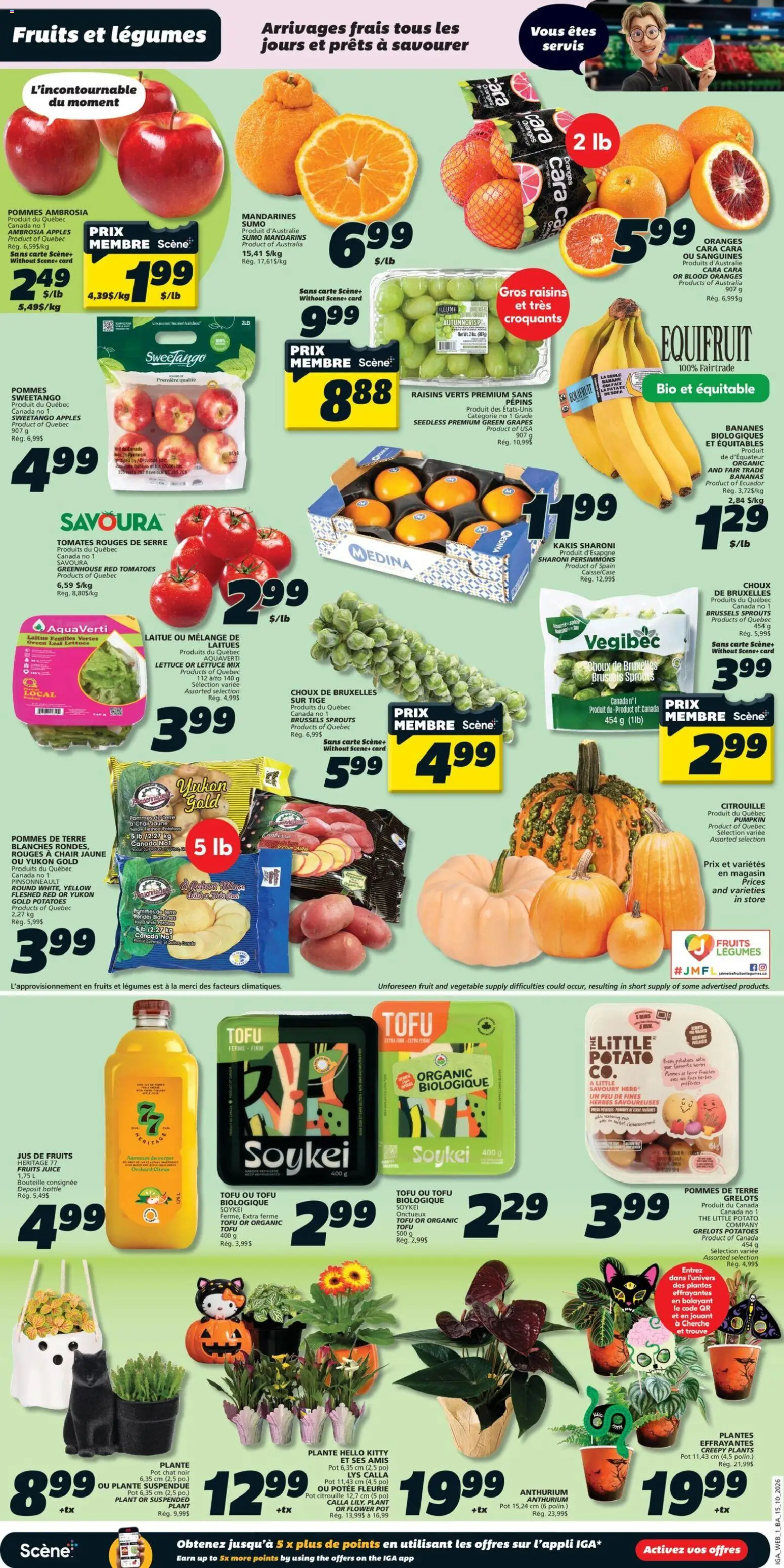 IGA flyer valid from Oct 15, 2026 | Page: 3