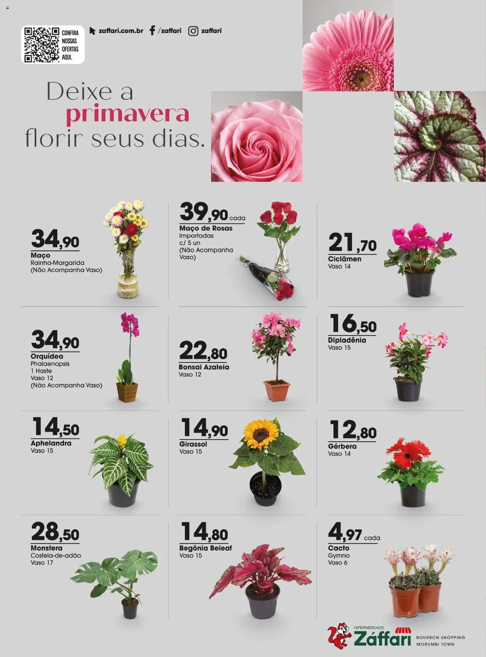 Zaffari Folheto - válido de 15/09/2026 | Página: 20 | Produtos: Orquídea, Vaso, Gerbera, Bourbon
