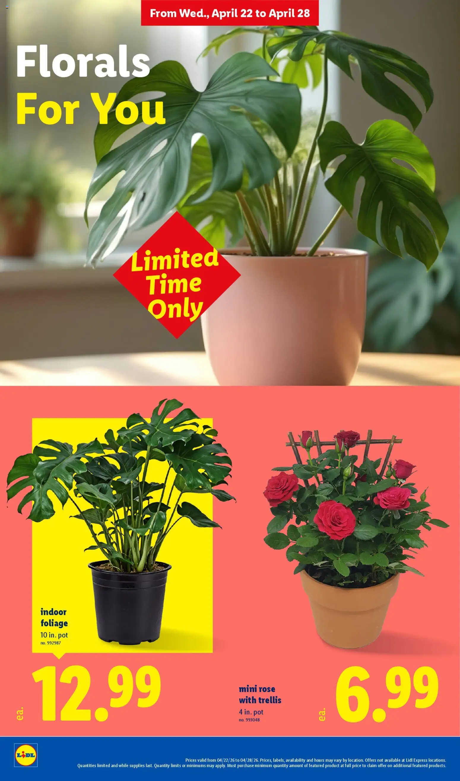 Lidl Weekly Ad - valid from 22.04.2026 | Page: 28