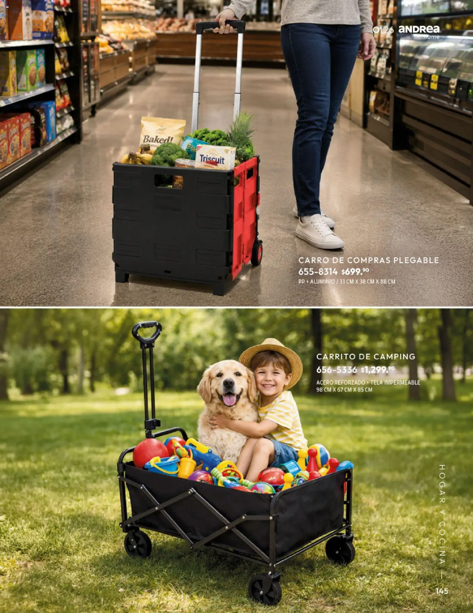 Nuevas ofertas de Andrea válidas en toda la República Mexicana desde el 01/09/2026. ¡Encuentra las mejores ofertas en Andrea catálogo Home! | Página: 145