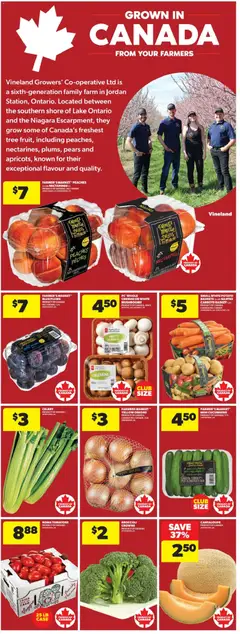 Preview of Real Canadian Superstore weekly flyer / circulaire from shop Real Canadian Superstore valid from Aug 20, 2026 | Page: 11