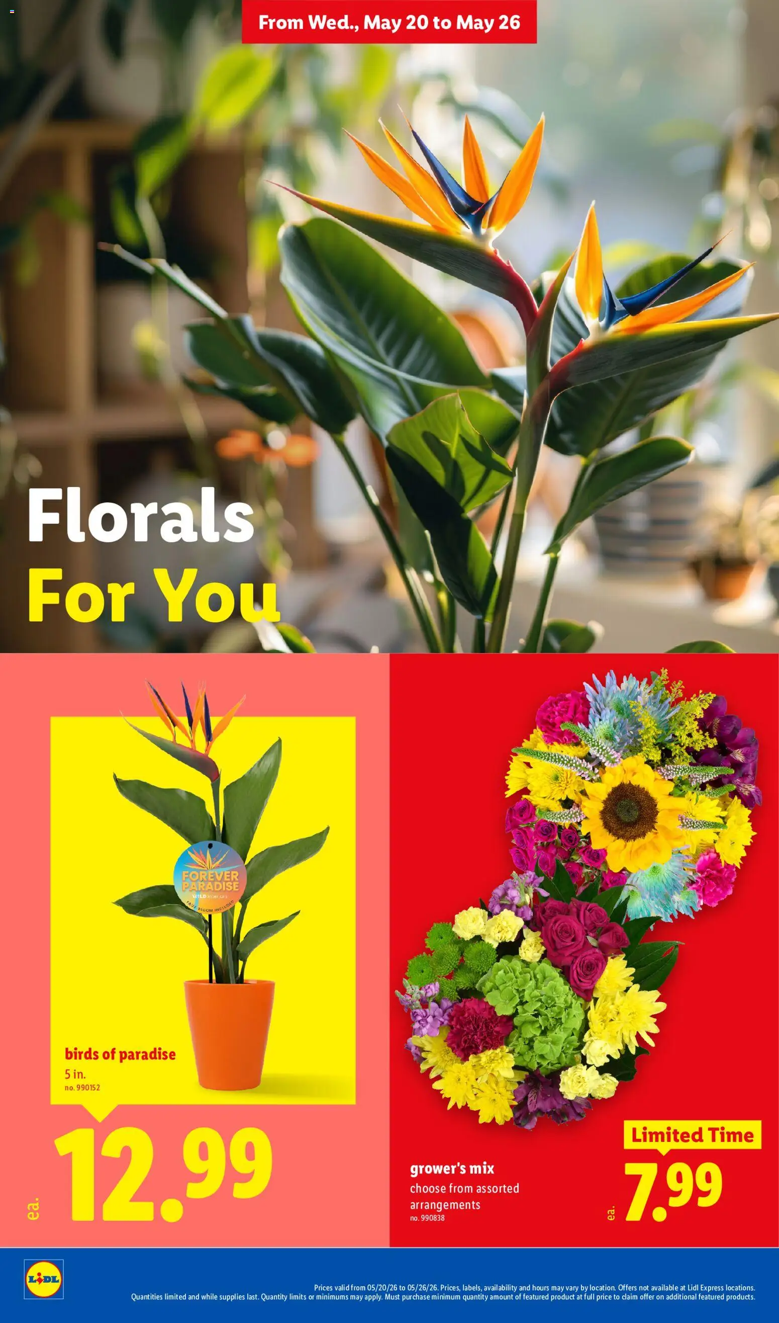 Lidl Weekly Ad - valid from 20.05.2026 | Page: 28