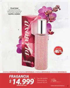 Carmel - Carmel C05 2026 -  Vista previa de la revista de la tienda Carmel valido desde el 01.05.2026 | Página: 255