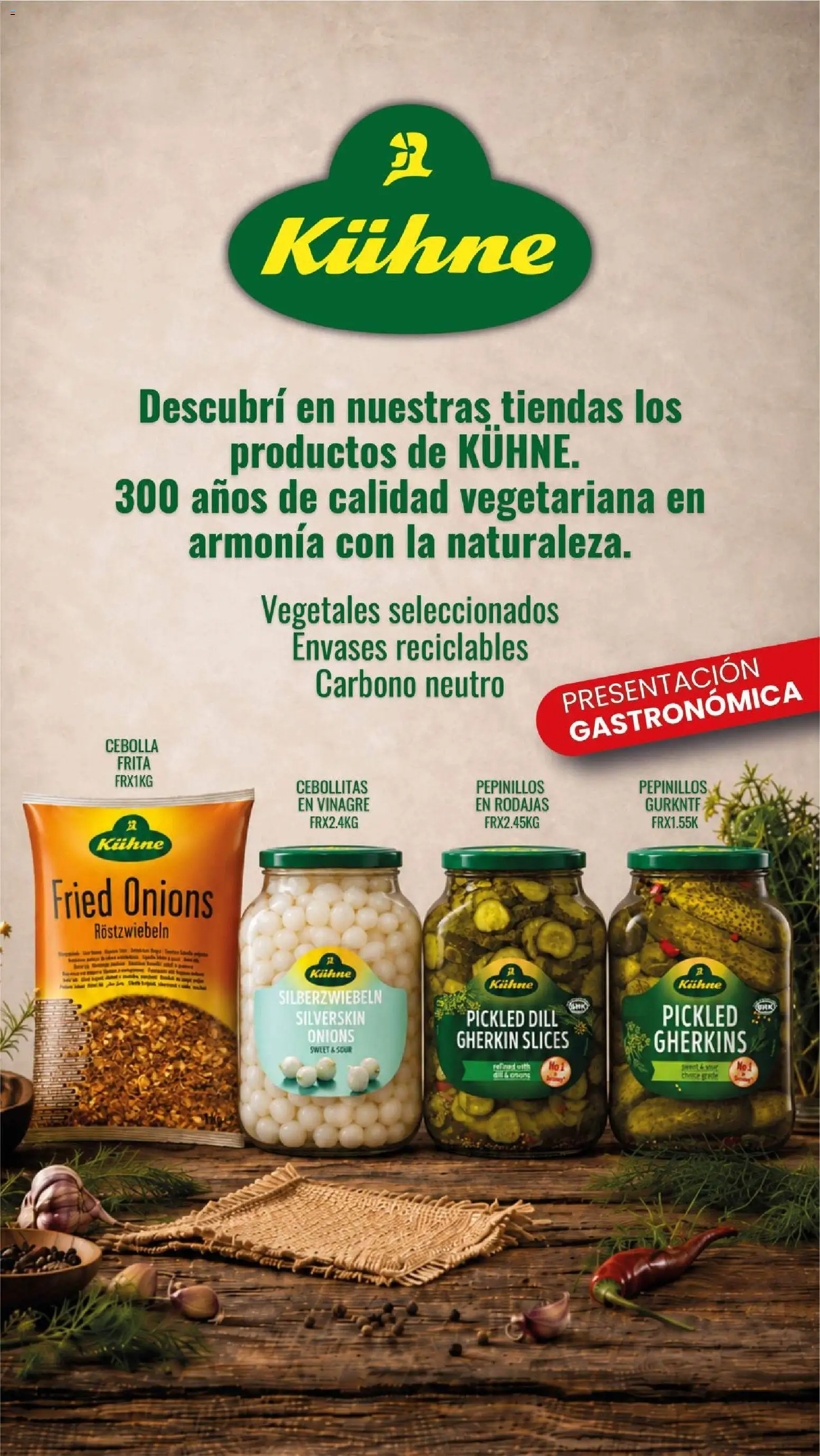 Makro - Ofertas Gastronómicas │ válido desde el 10/09/2026 | Página: 5 | Productos: Pepinillos en vinagre, Cebolla, Vinagre