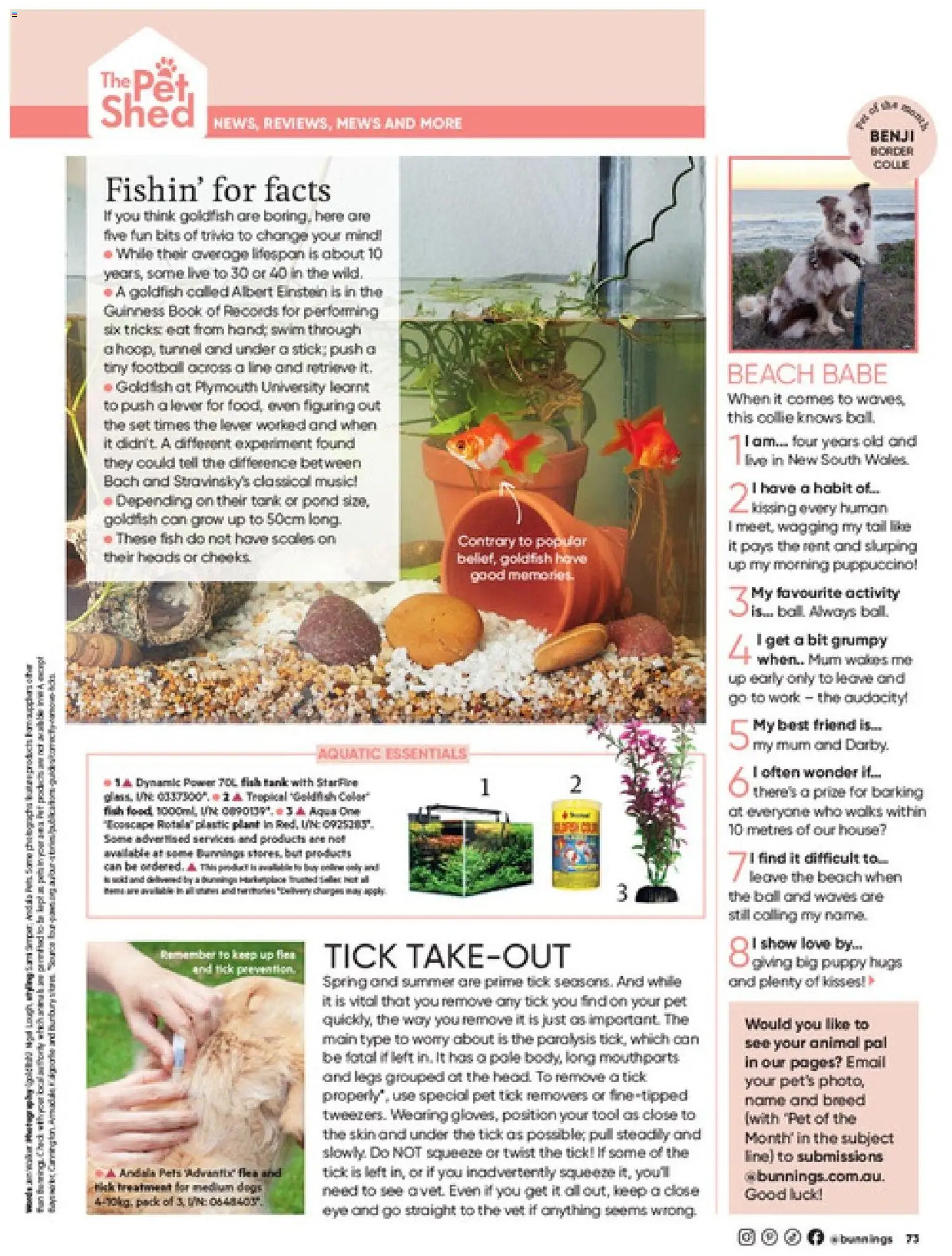 Bunnings Warehouse catalogue - valid from 01/09/2026 | Page: 73 | Products: Plant, Pond, Shed, Treatment