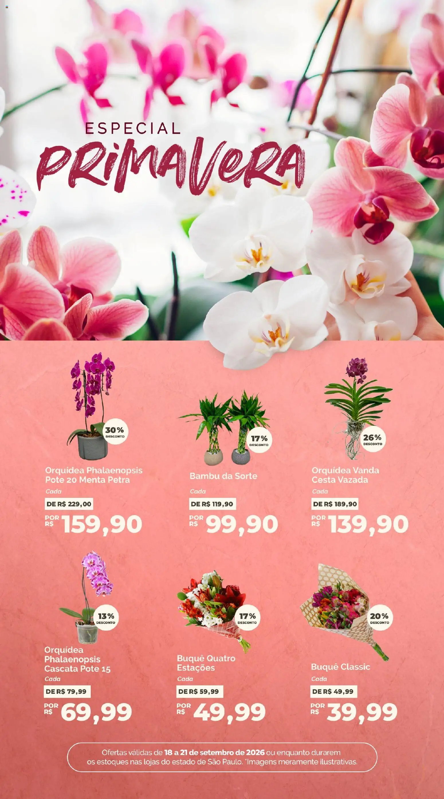 Oba Hortifruti Folheto - válido de 18/09/2026 | Página: 10 | Produtos: Orquídea, Cesta