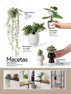 Vista previa de Vianney - Catálogo - Biasi, nuevo folleto de la tienda, válido en México a partir del 05.09.2025 | Página: 14 | Productos: Maceta