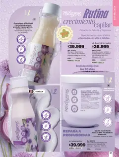 Carmel catálogo C07/2026 -  Vista previa de la revista de la tienda Carmel valido desde el 01.06.2026 | Página: 171 | Productos: Té, Brillo, Cebolla, Mascarilla
